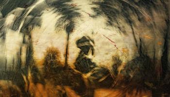 Psycho-Spirituelle Entwicklung