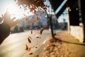 360 Grad MENSCH! Veränderung braucht MUT.