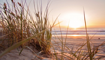 Was bedeutet ehrliche Wertschätzung?